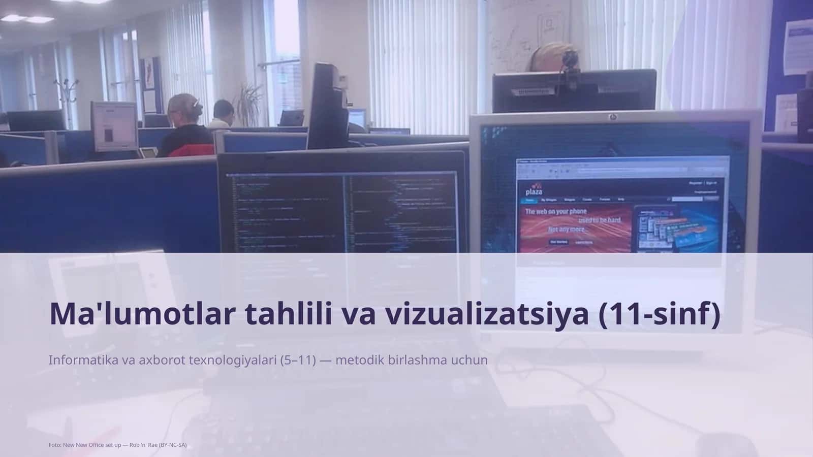 Ma'lumotlar tahlili va vizualizatsiya (11-sinf)