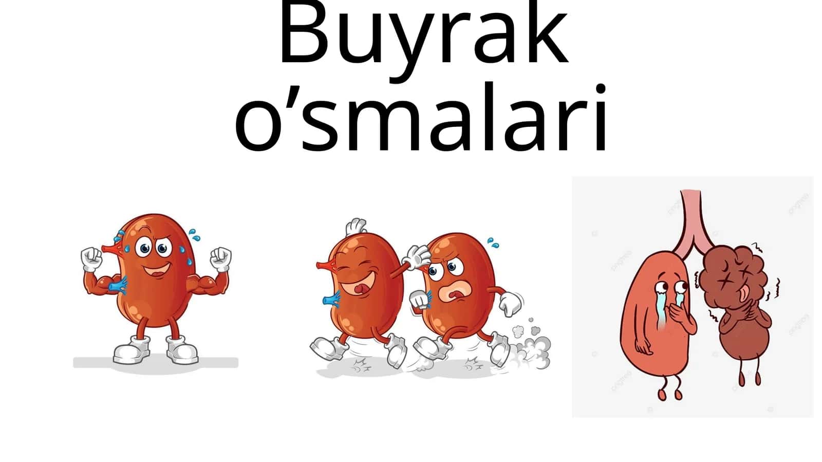 Buyrako’smalari
