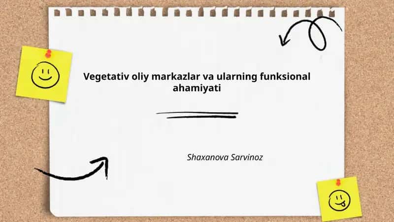 Vegetativ oliy markazlar va ularning funksional ahamiyati