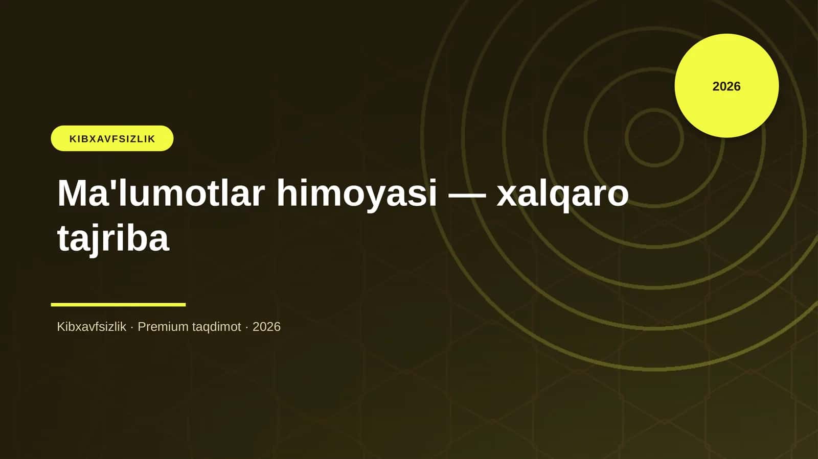 Ma'lumotlar himoyasi — xalqaro tajriba