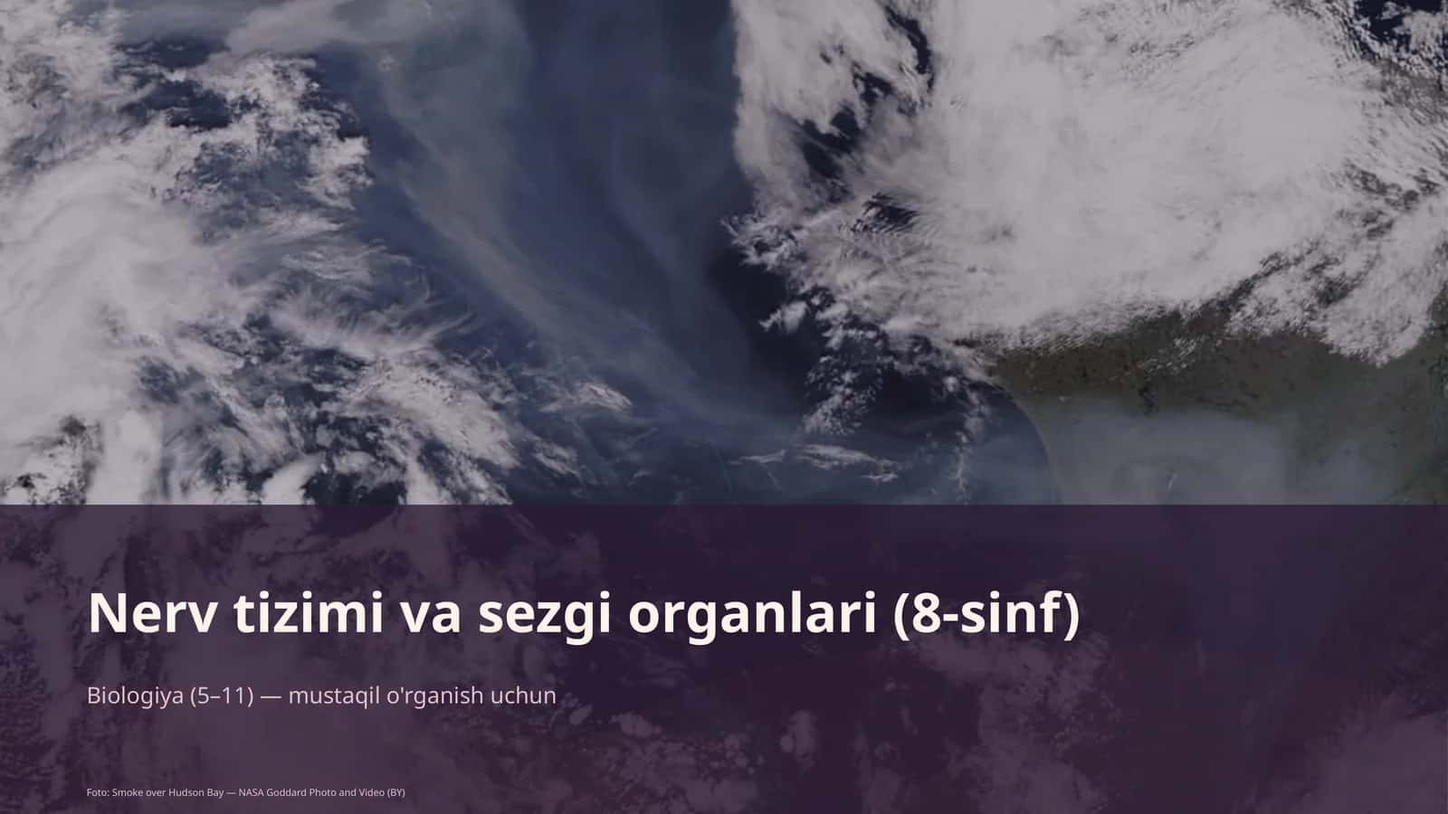 Nerv tizimi va sezgi organlari (8-sinf)
