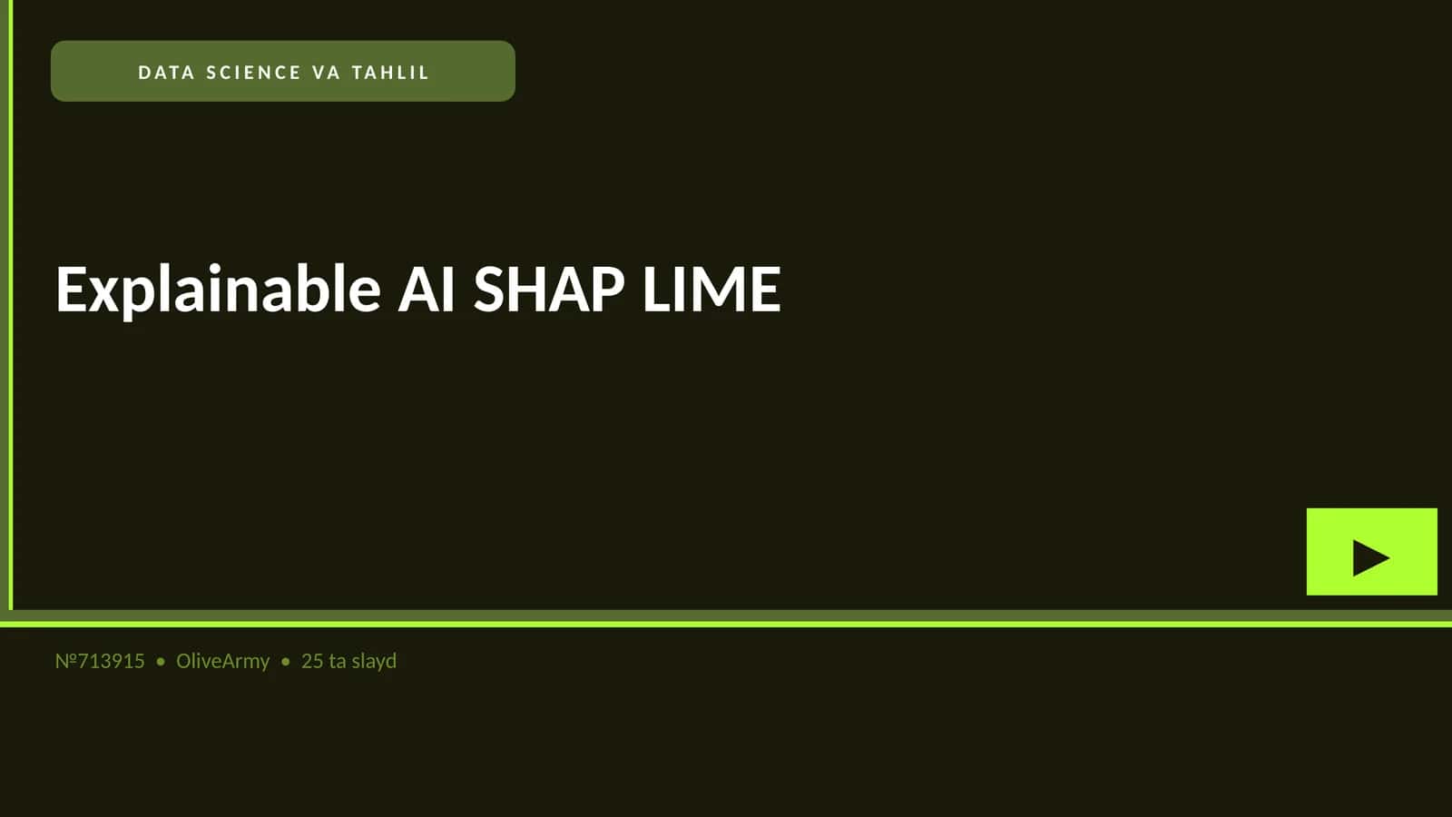 Explainable AI SHAP LIME