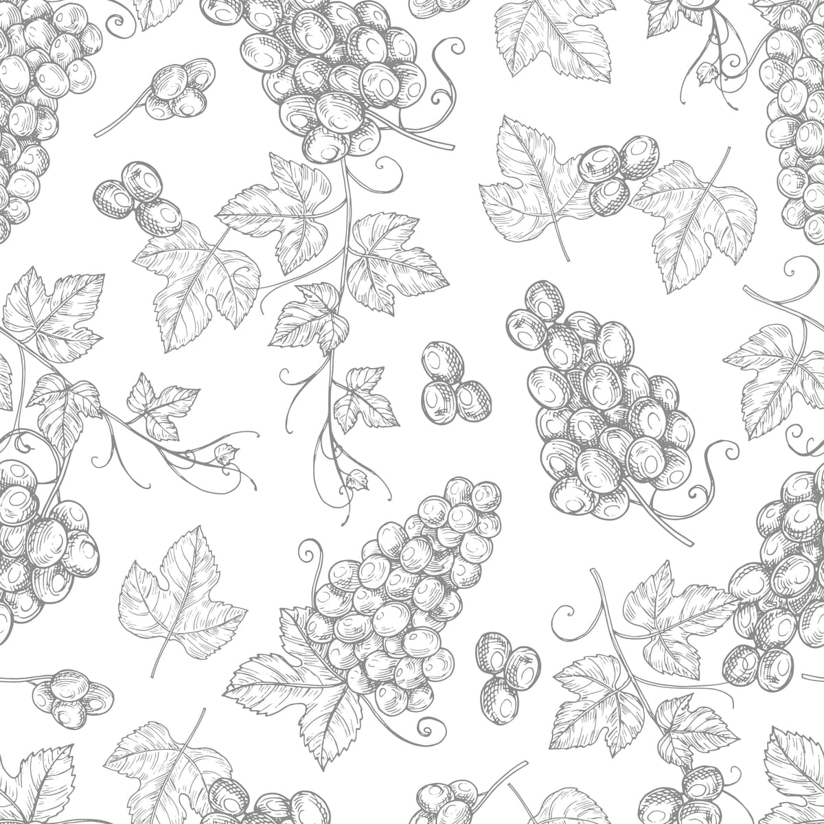Sketch uzum choksiz naqsh | Sketch grapes seamless pattern
