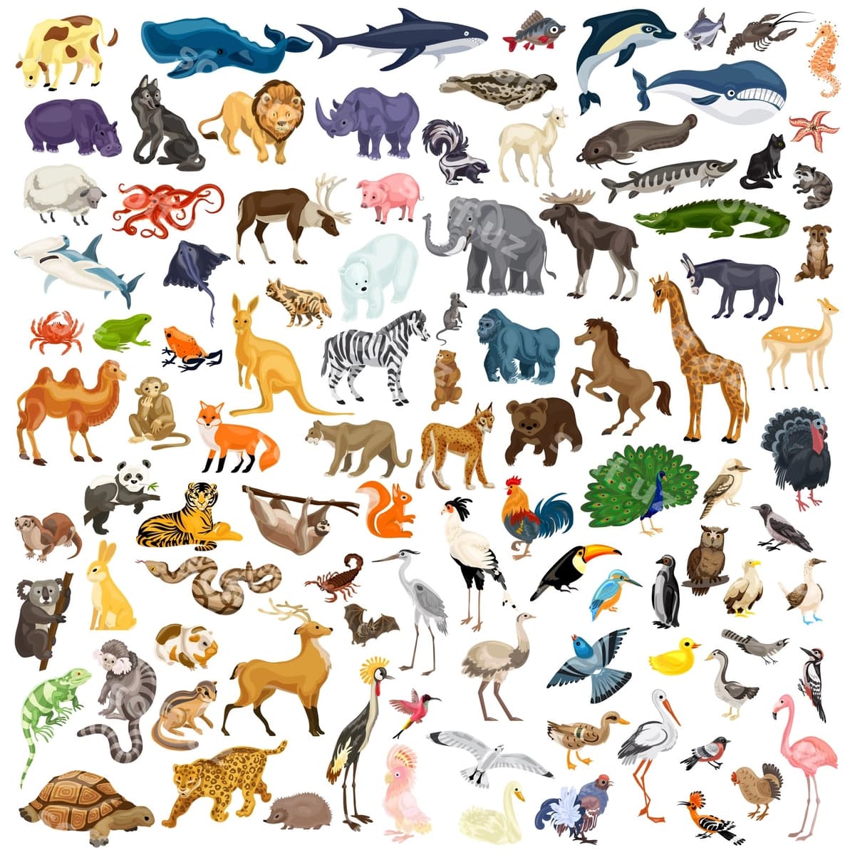 Hayvonlar ikonkalar to'plami | Animals icon set
