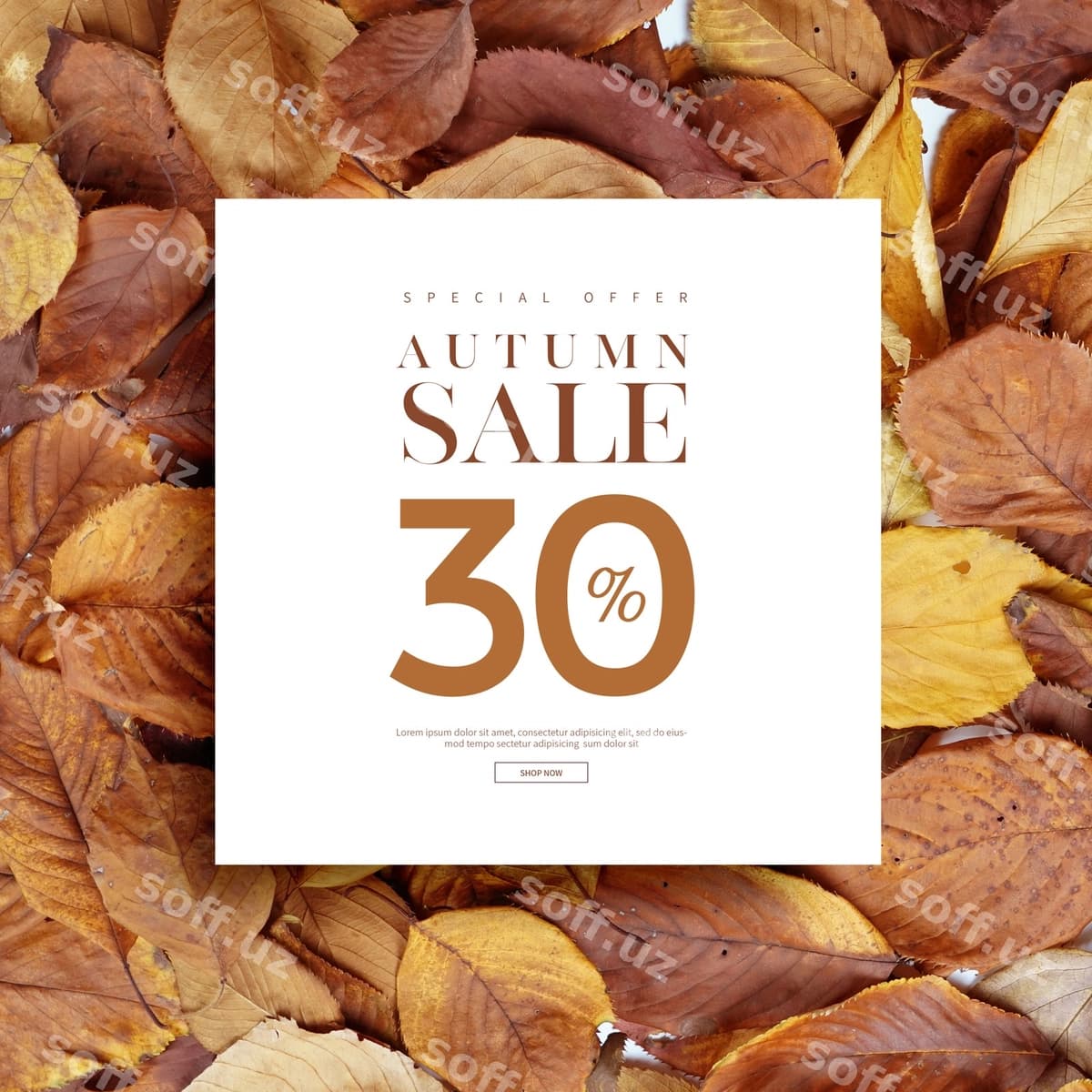 Kuzgi aktsiya baner kartasi | Autumn sale banner card