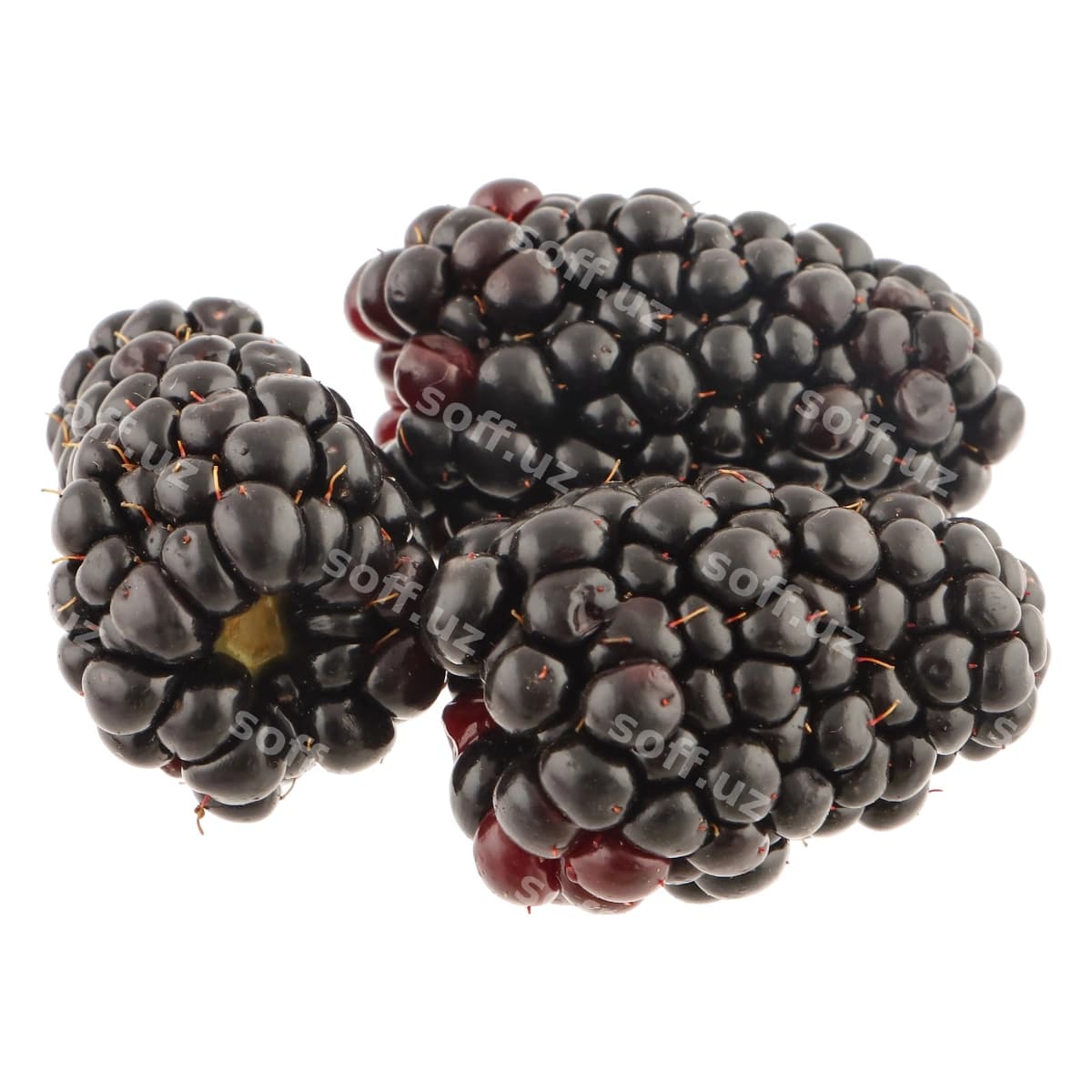 Blackberry oq orqa fon | Blackberry white background