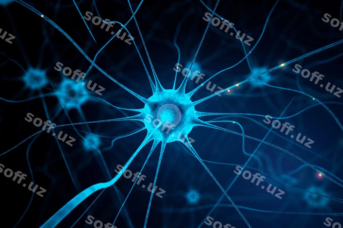 Ko'k neuron | Blue nerve cell