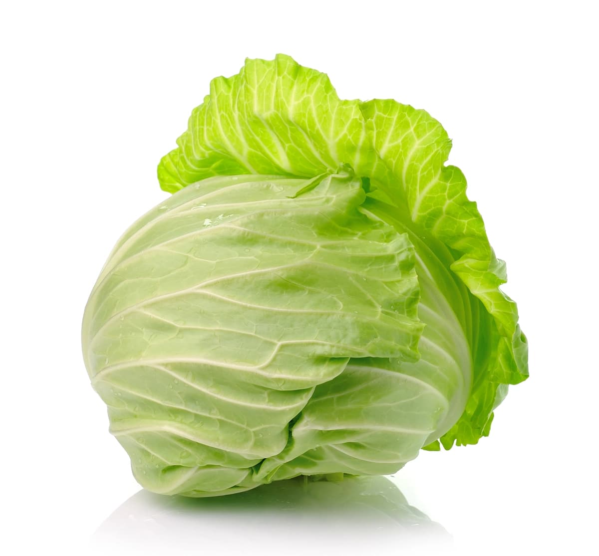 Hammayoqni izolyatsiya qilingan oq | Cabbage isolated white