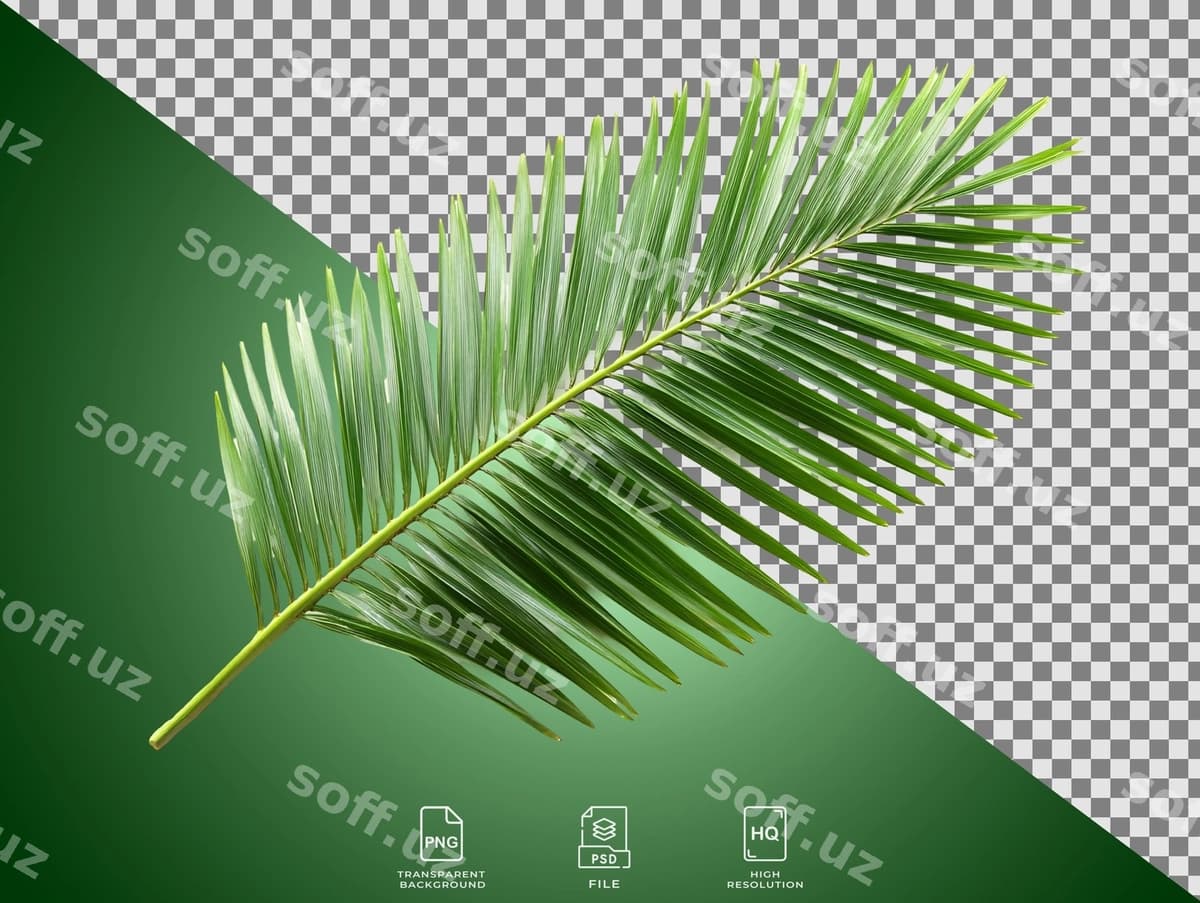 Bargni yaqindan ko'rish | Close up leaf