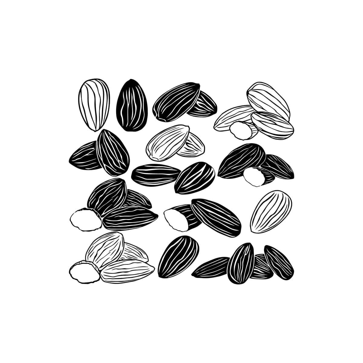 Qora oq bodom rasmlari vektor belgisini o'rnatdi | Black white almond illustrations set vector icon