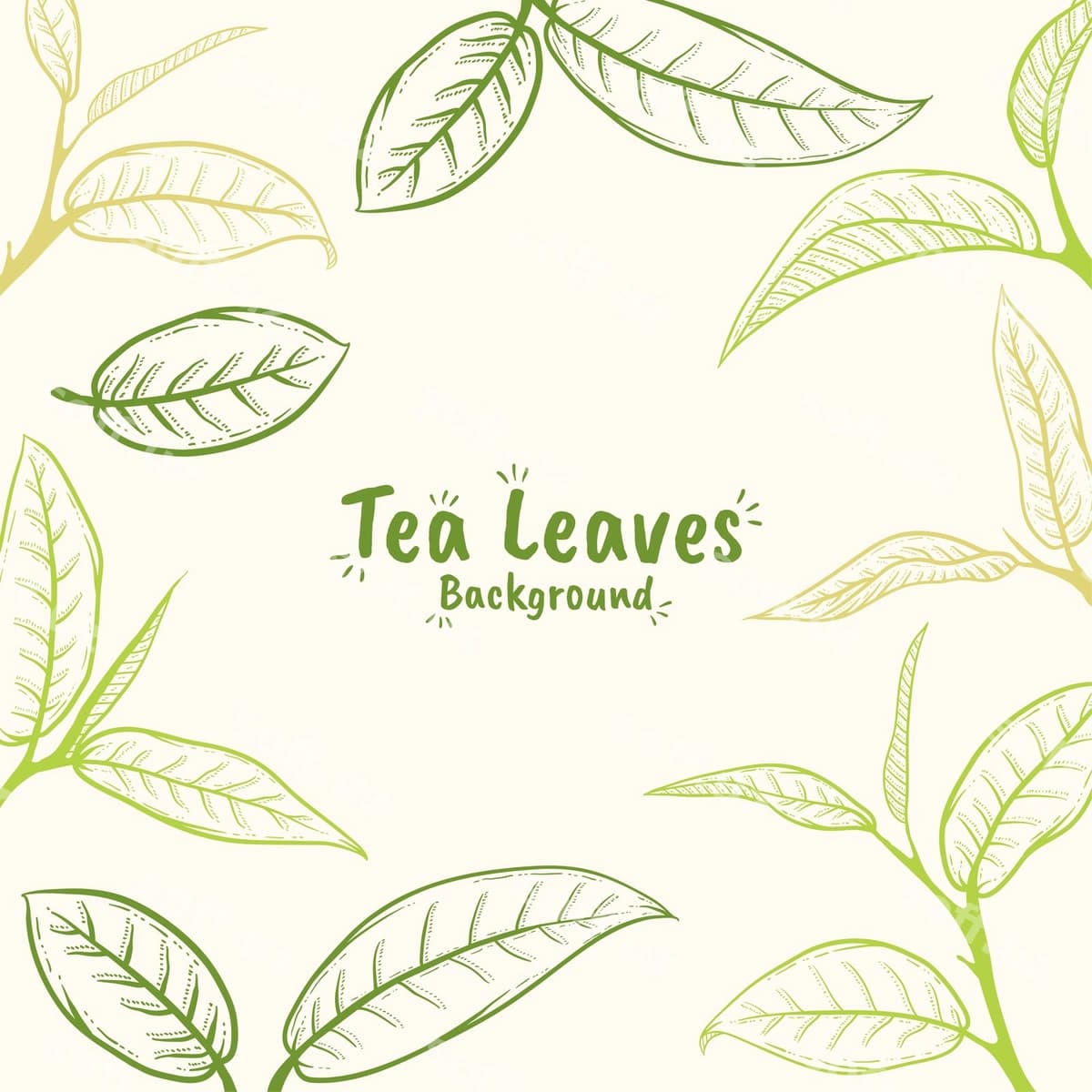 Qo'l bilan chizilgan choy barg'i illustratsiyasi | Hand drawn tea leaf illustration