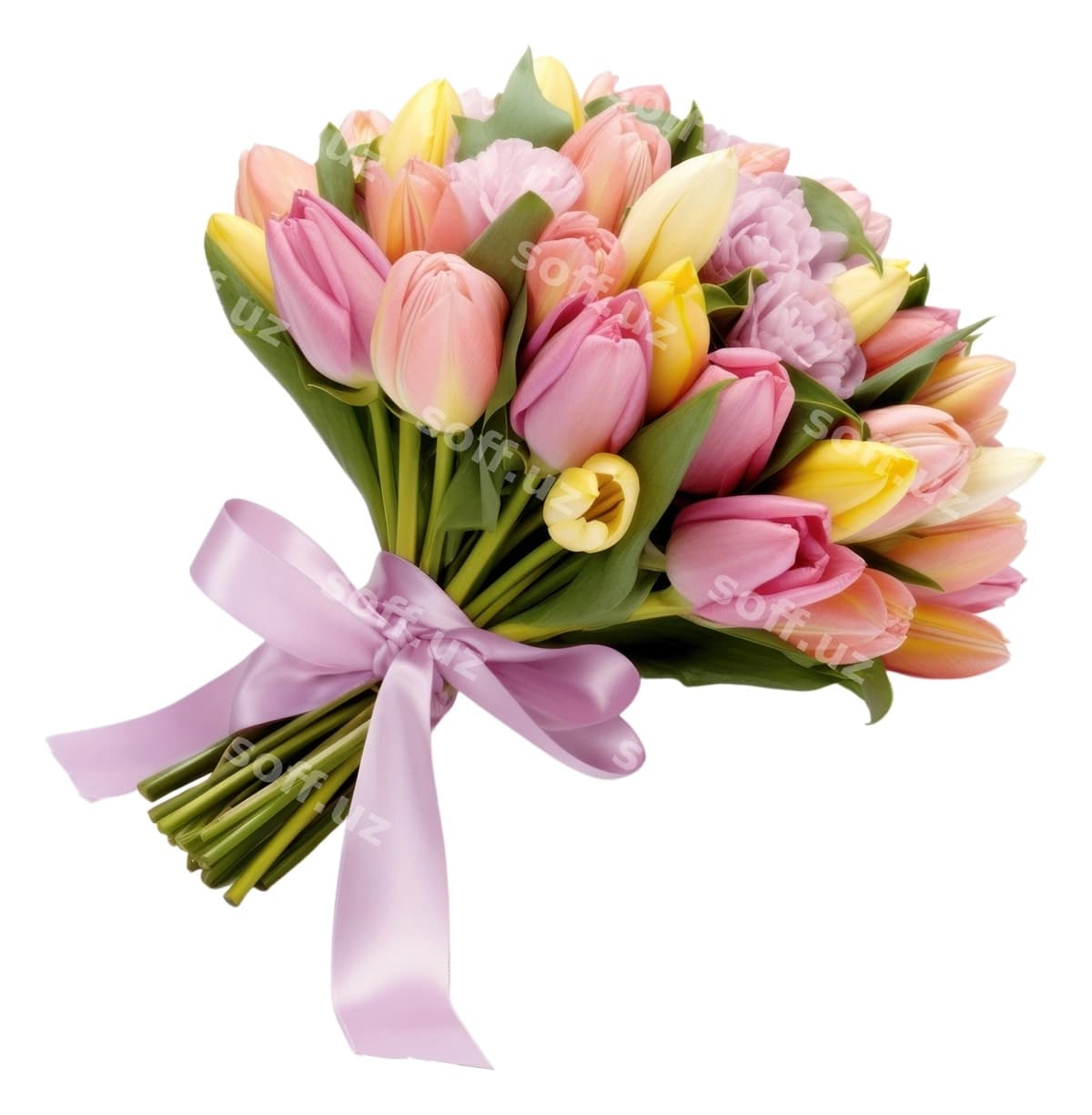 PNG gul lola o'simlik atirgul | Png flower tulip plant rose
