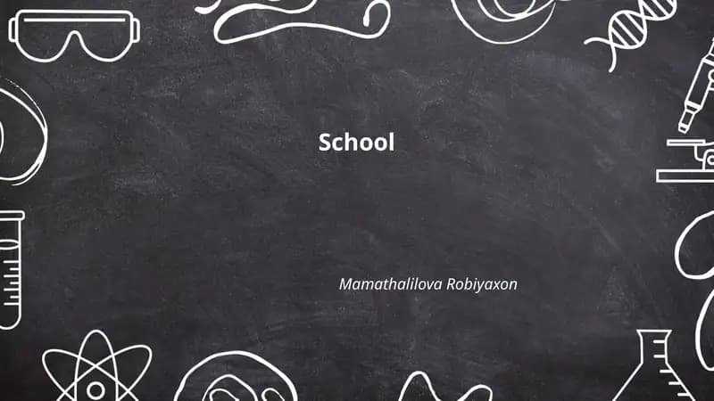 Classroom Management Plan