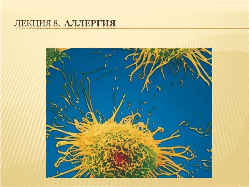 Аллергия