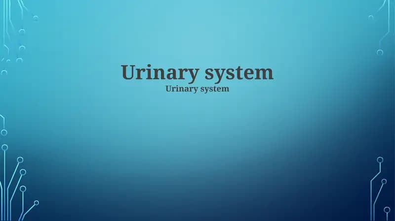 Urinary system