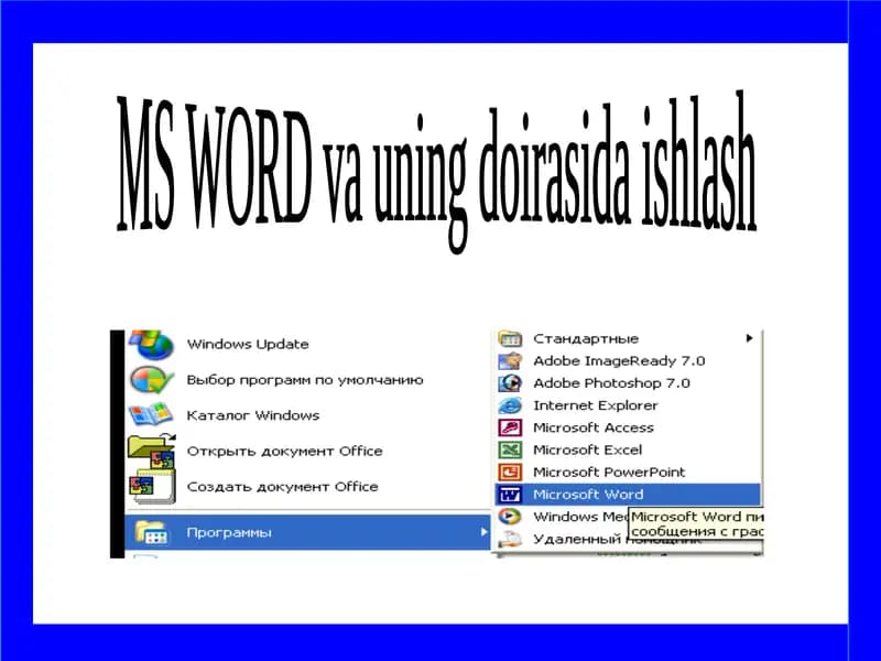 MS WORD