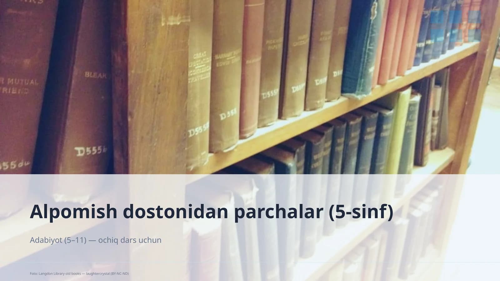 Alpomish dostonidan parchalar (5-sinf)
