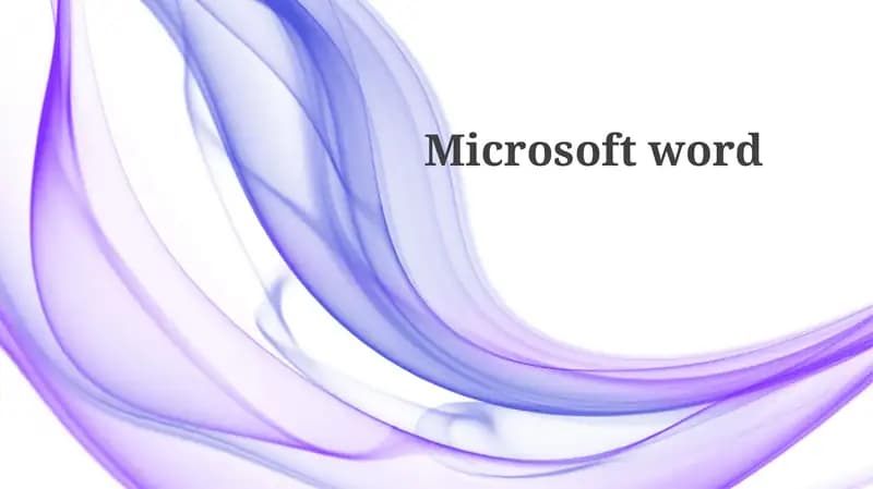Microsoft Word