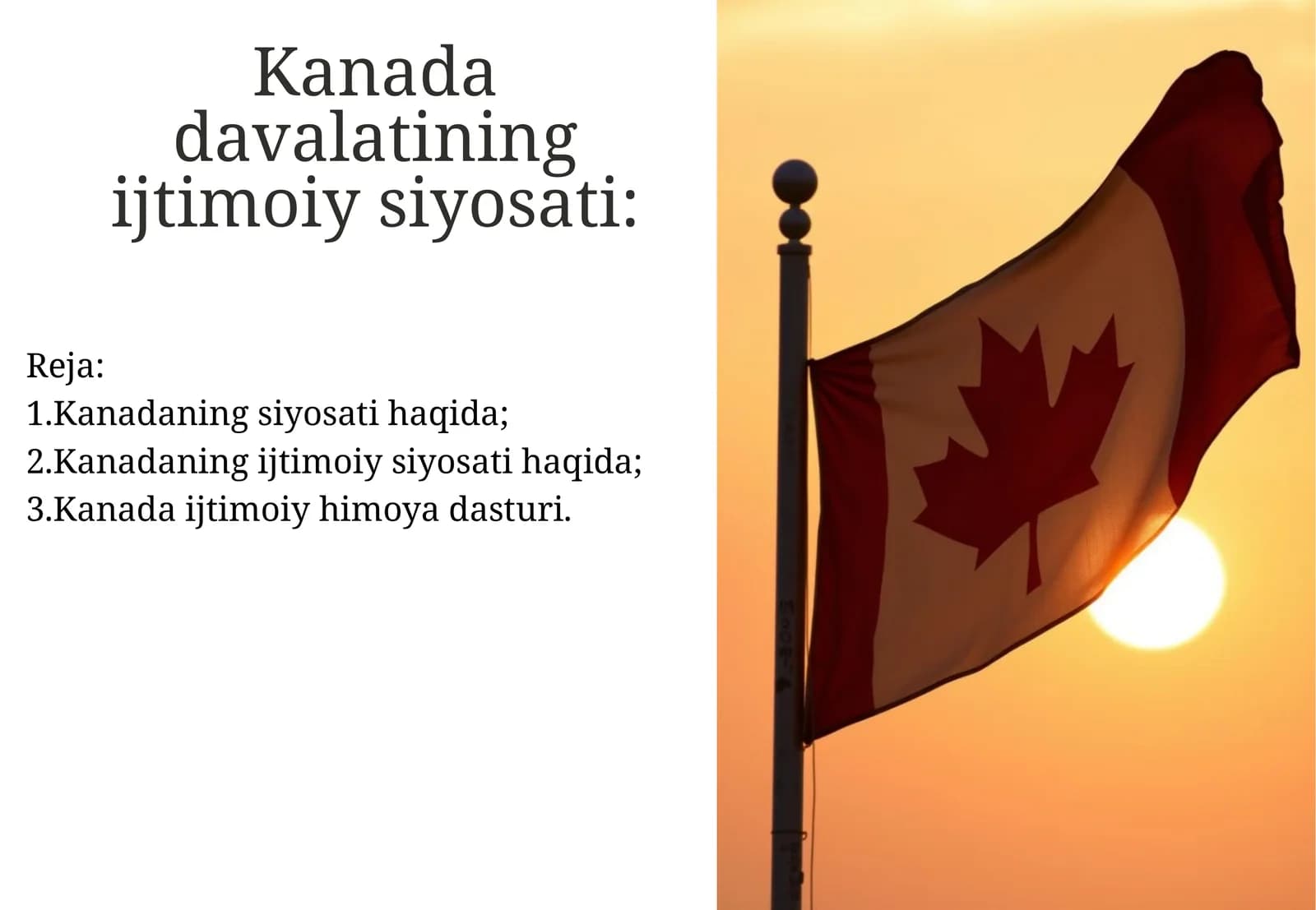 Kanada davalatining ijtimoiy siyosati