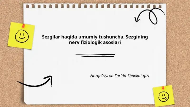 Sezgilar haqida umumiy tushuncha