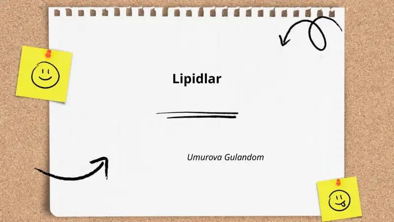 Lipidlar