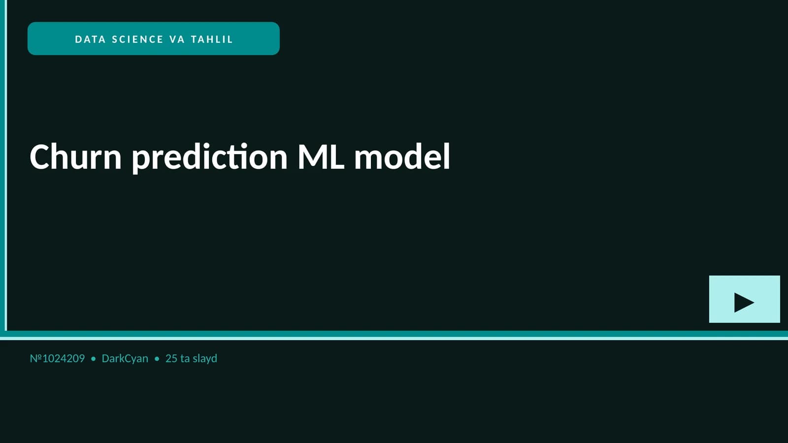 Churn prediction ML model