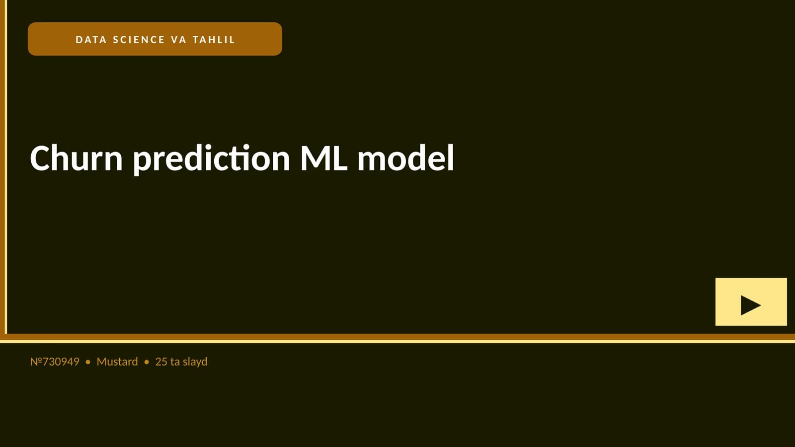 Churn prediction ML model
