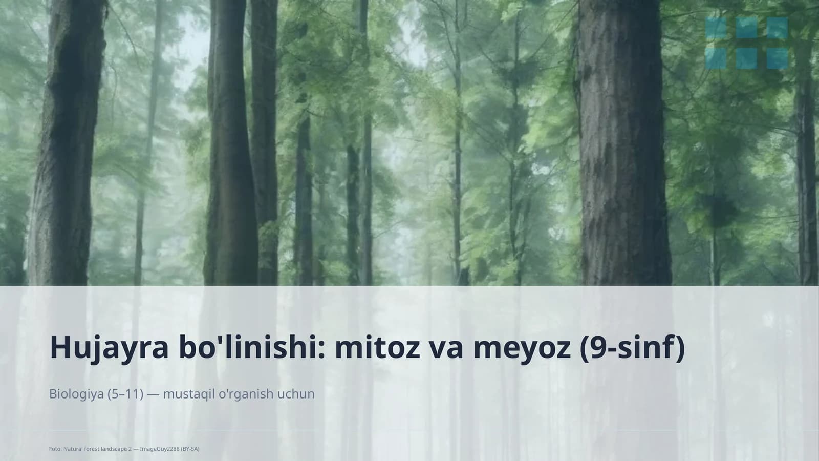 Hujayra bo'linishi: mitoz va meyoz (9-sinf)
