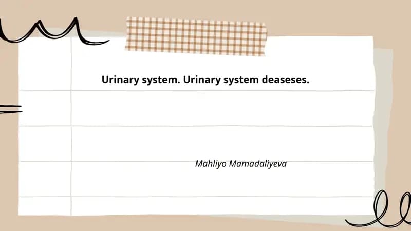 Urinary System Diseases