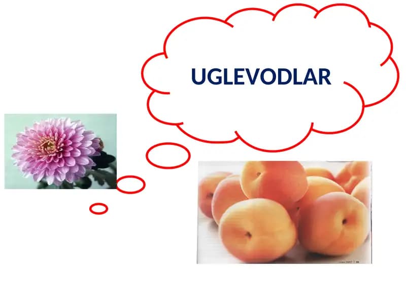 Uglevodlar