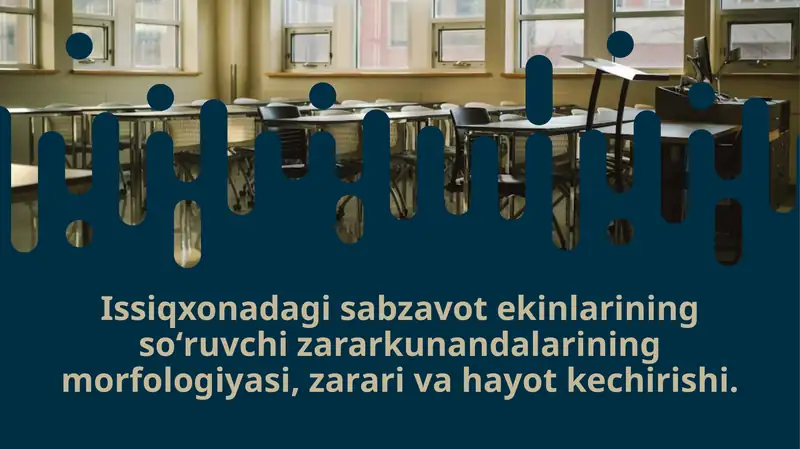 Issiqxonadagi sabzavot ekinlarining so‘ruvchi zararkunandalarining morfologiyasi