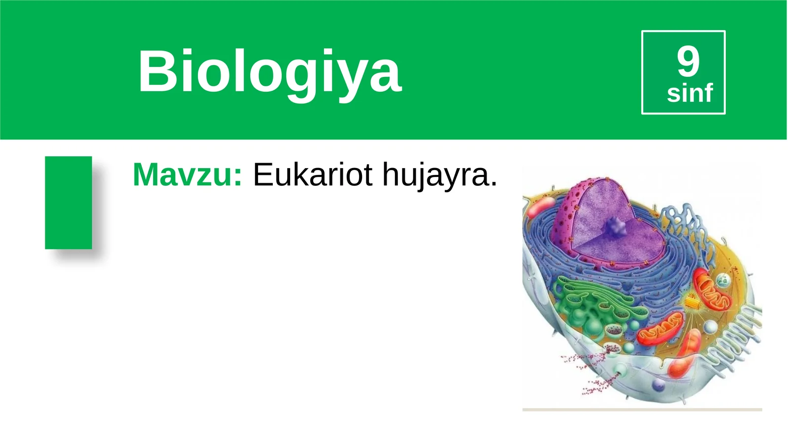 Eukariothujayra
