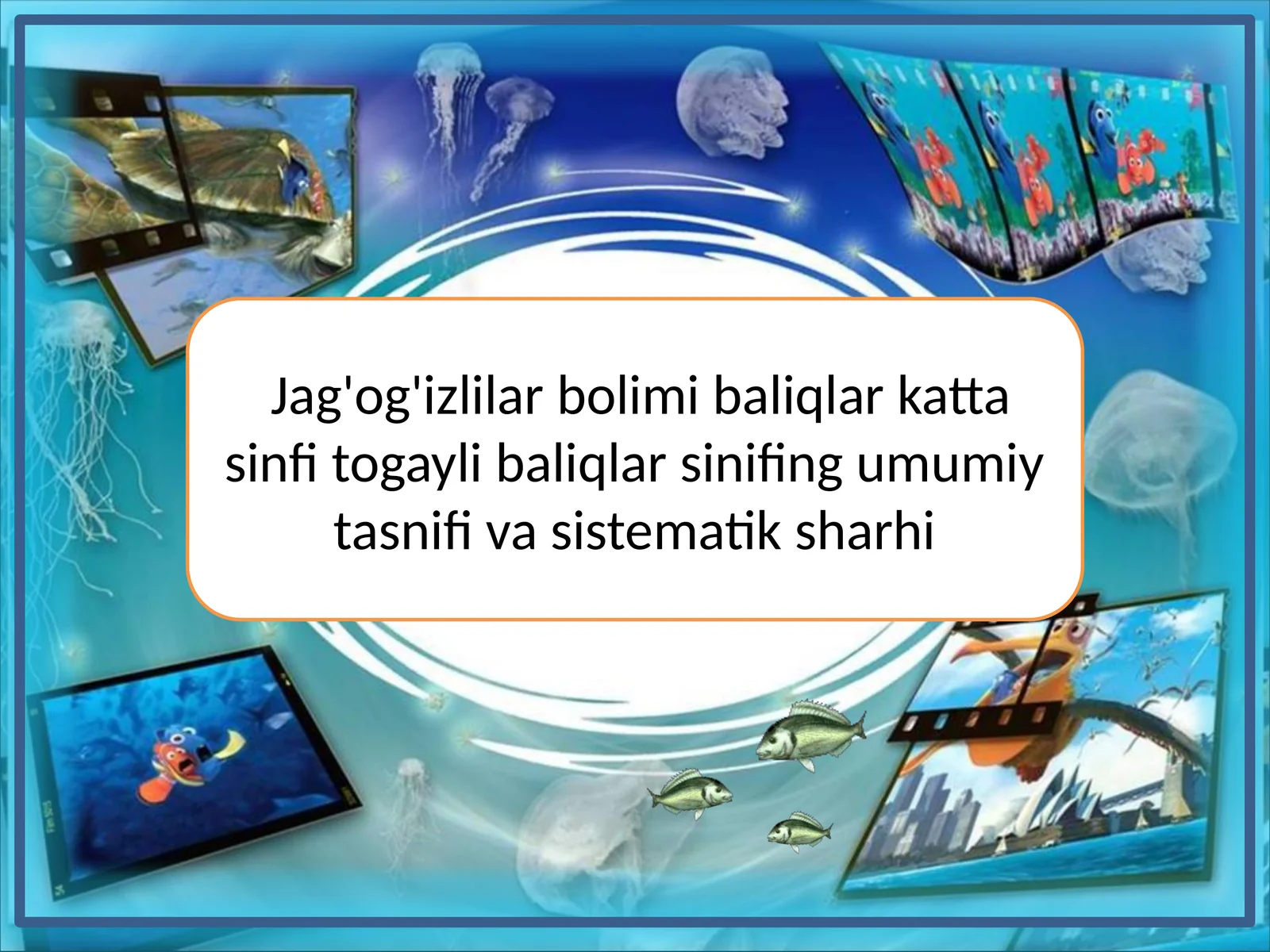 Jag'og'izlilar bolimi baliqlar katta sinfi togayli baliqlar sinifing umumiy tasnifi va sistematik sharhi