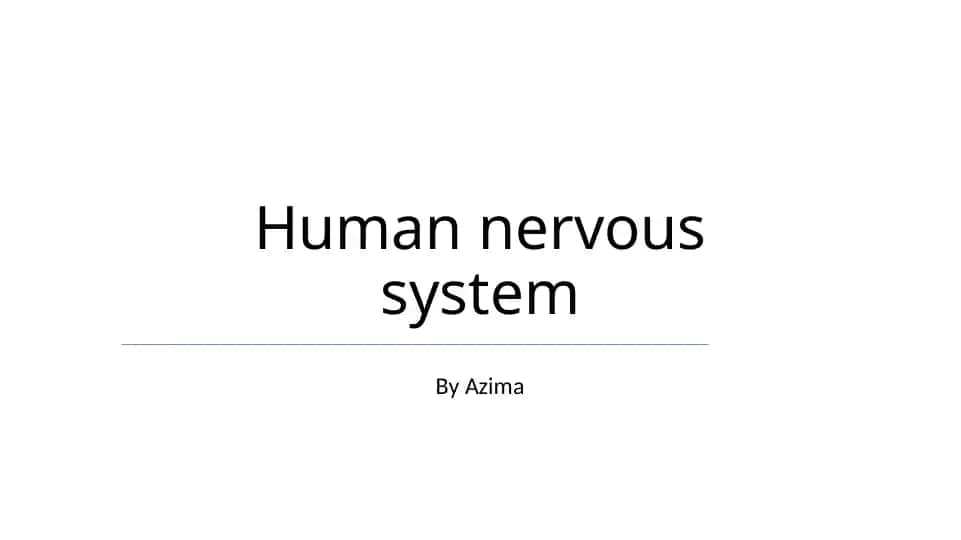Human nervous system