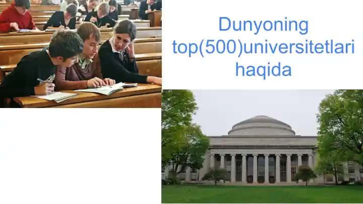 Universitetlar haqida
