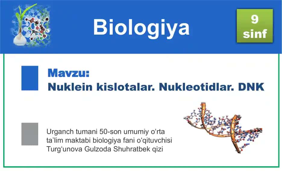 Nuklein kislotalar. Nukleotidlar. DNK