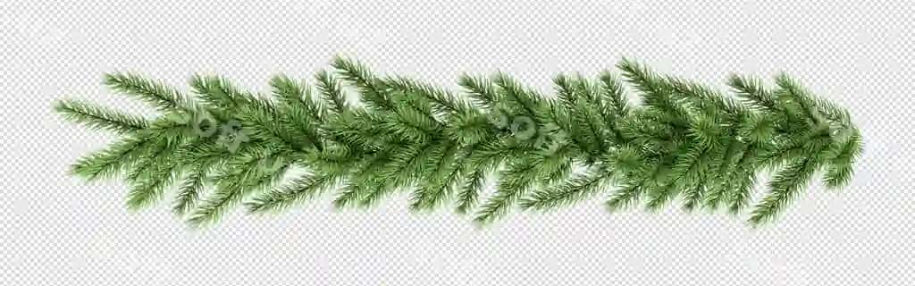 Darma yashil daraxt so'z "u" bilan | Branch green tree with word it