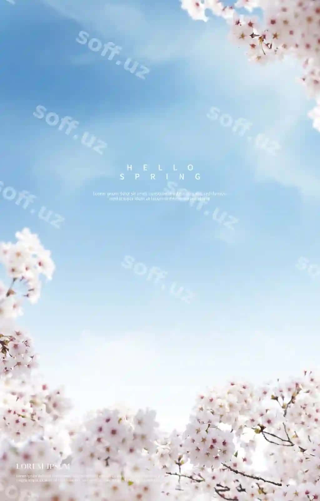 Go'zal bahor gullari fon | Beautiful spring flowers background