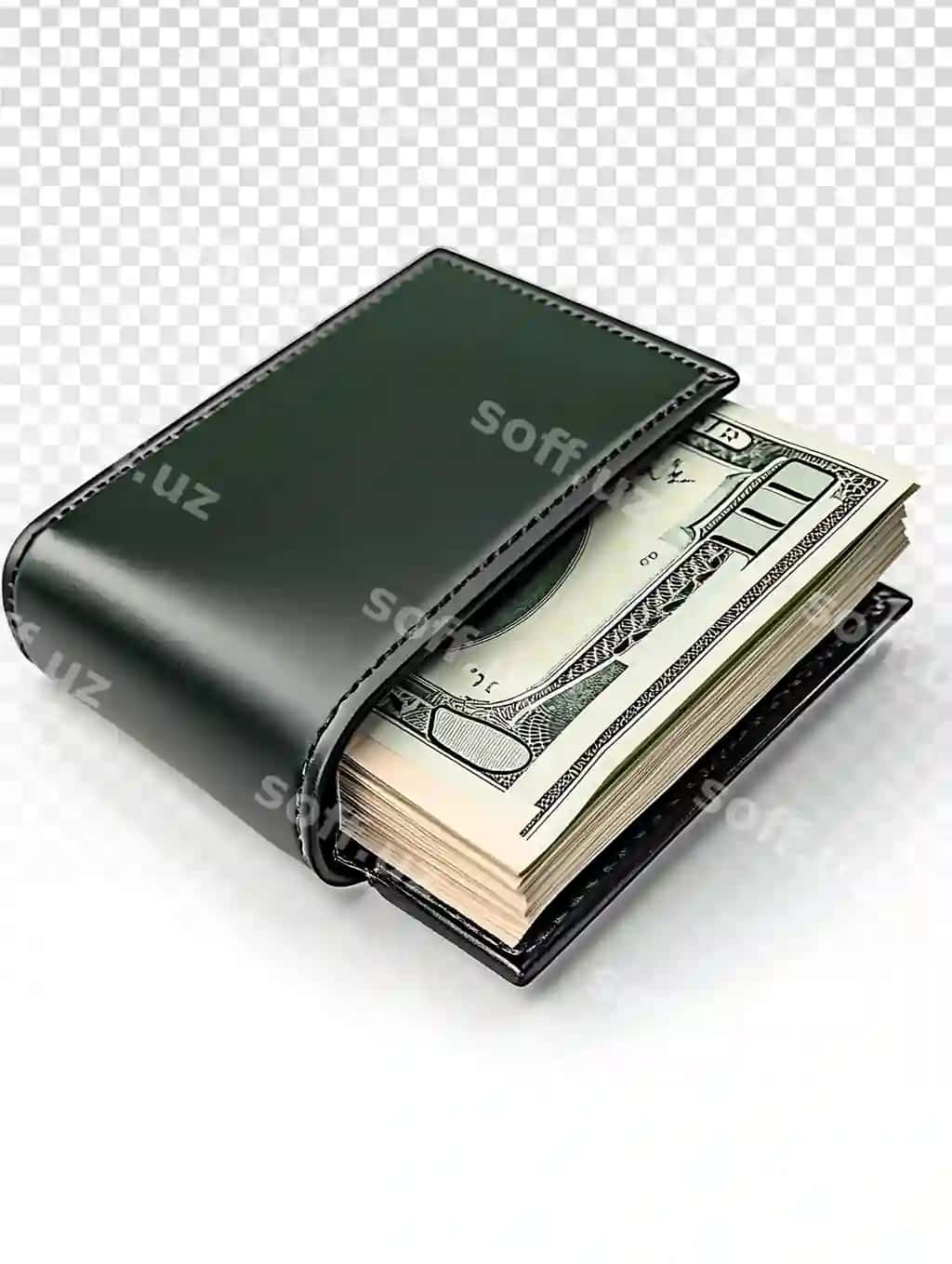 Elegant 3D hamlovka ikonasi pul banknotalari bilan | Elegant 3d wallet icon with money banknotes