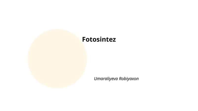Fotosintez