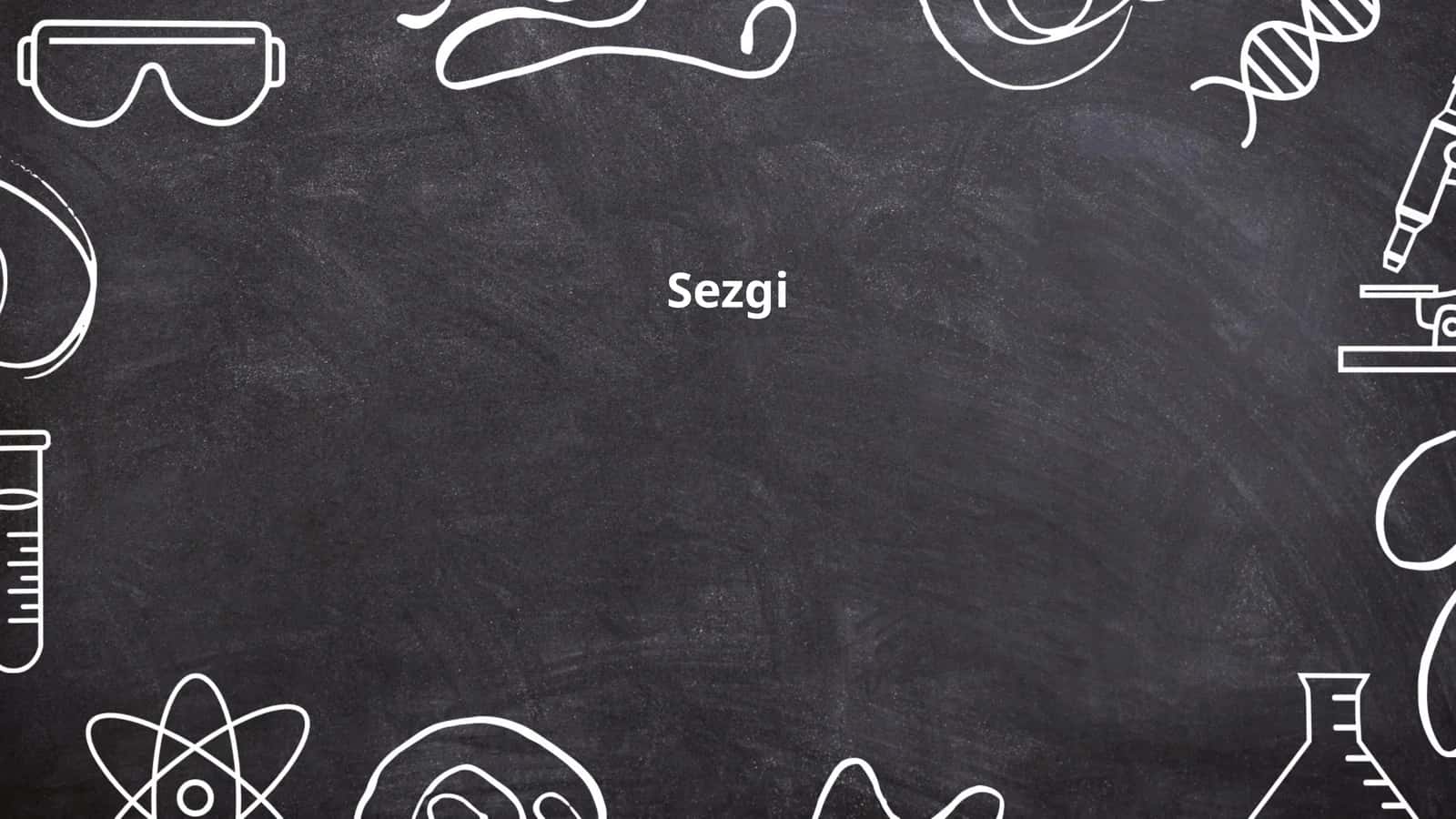 Sezgi